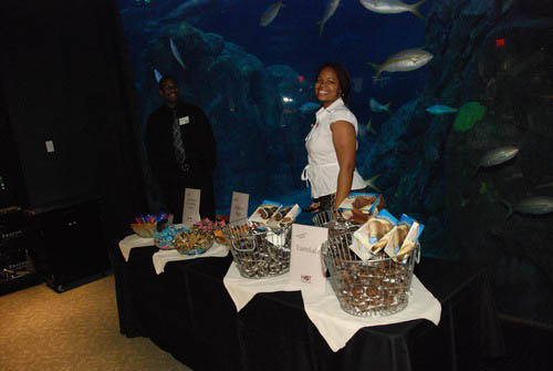 Hot Chocolate @ The Adventure Aquarium