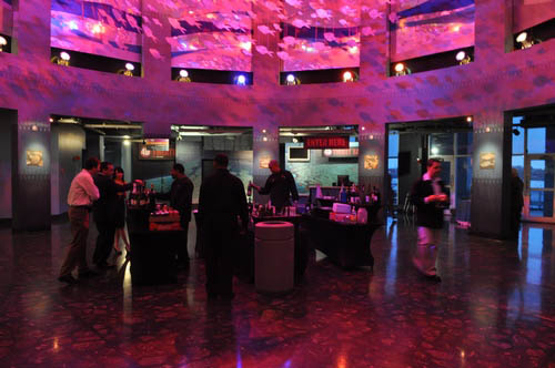 Hot Chocolate @ The Adventure Aquarium