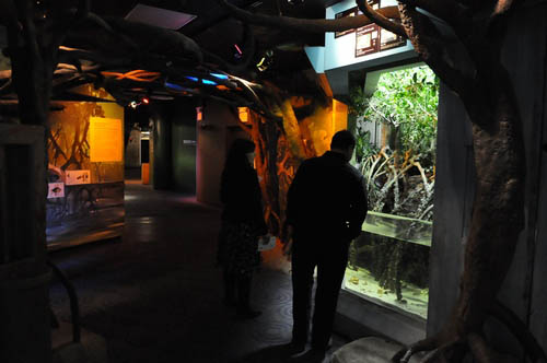 Hot Chocolate @ The Adventure Aquarium