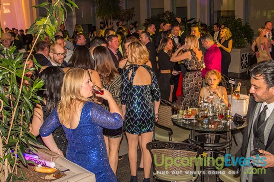 Hair O' The Dog 2016 (Gallery 1)