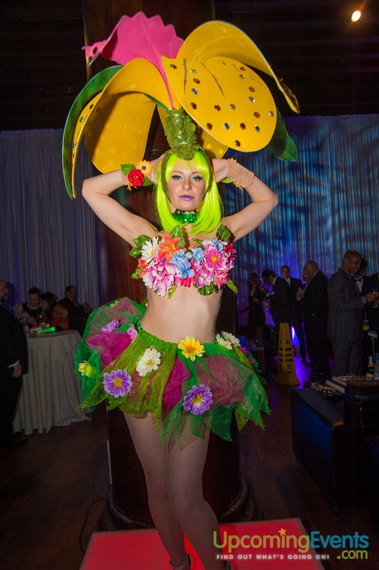 Hair O' The Dog 2016 (Gallery 2)