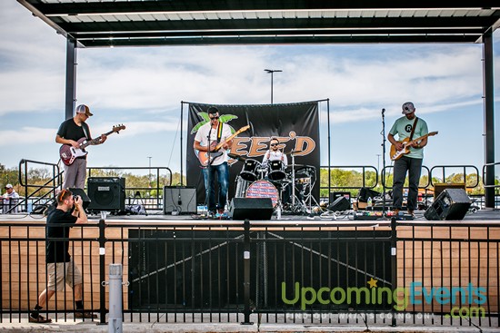 Springfest Live! 2016 (Gallery A)