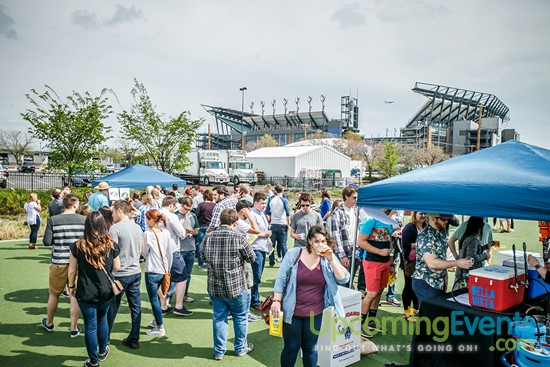 Springfest Live! 2016 (Gallery A)