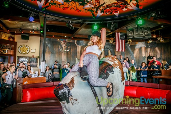 Springfest Live! 2016 (Gallery A)