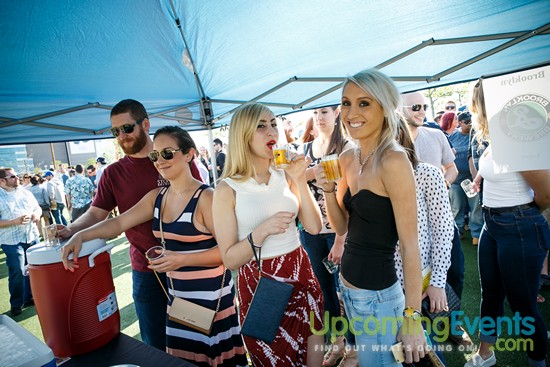 Springfest Live! 2016 (Gallery A)