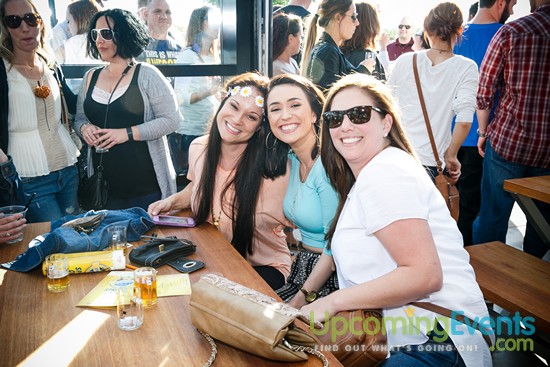 Springfest Live! 2016 (Gallery A)