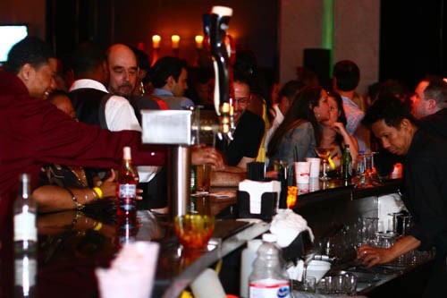 The 2008 Young Professionals Ball