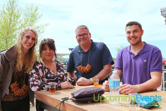 Springfest Live! 2016 (Gallery D)