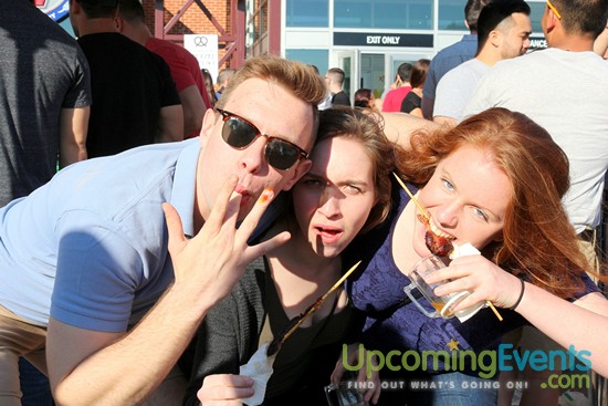 Springfest Live! 2016 (Gallery D)