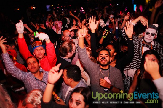 Day of the Dead at Coda