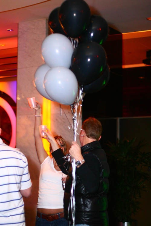 The 2008 Young Professionals Ball