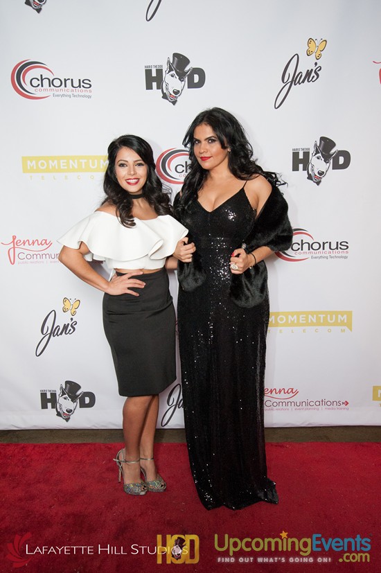 Hair O' The Dog 2017 (Red Carpet)