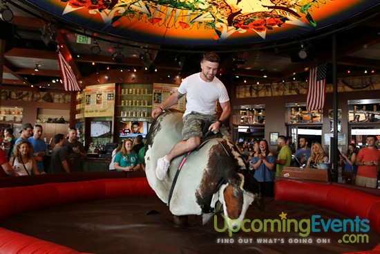 Springfest Live! 2017 - Gallery 2