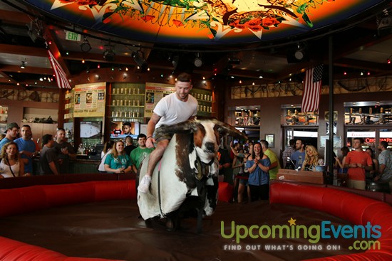 Springfest Live! 2017 - Gallery 2