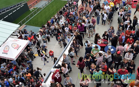 All Star Craft Beer & Wine Festival - Gallery 3