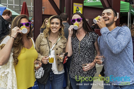 All Star Craft Beer & Wine Festival - Gallery 5