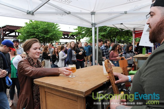 All Star Craft Beer & Wine Festival - Gallery 7