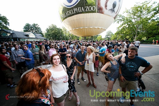 Summer Ale Festival at The Zoo!