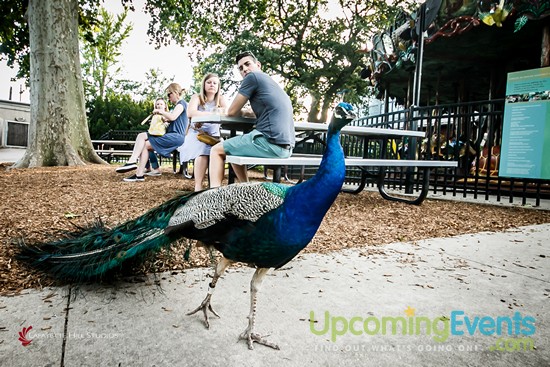 Summer Ale Festival at The Zoo!