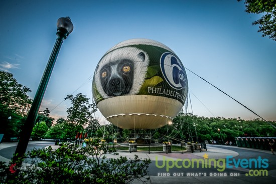 Summer Ale Festival at The Zoo!