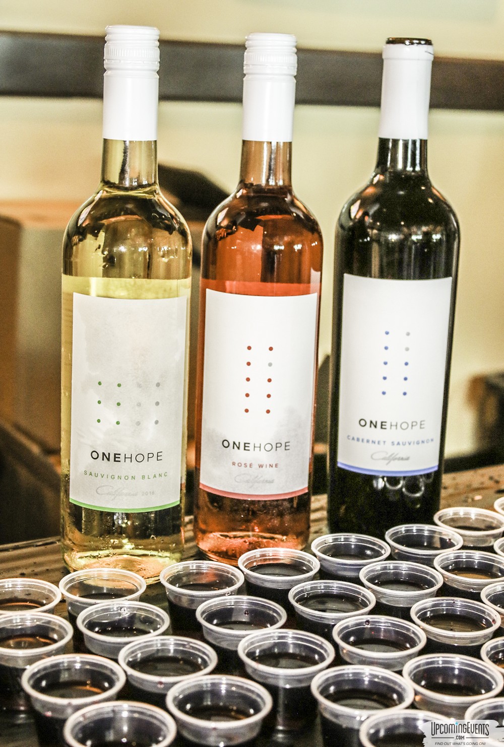 Pittsburgh All Star Festival 2018 - Gallery 1