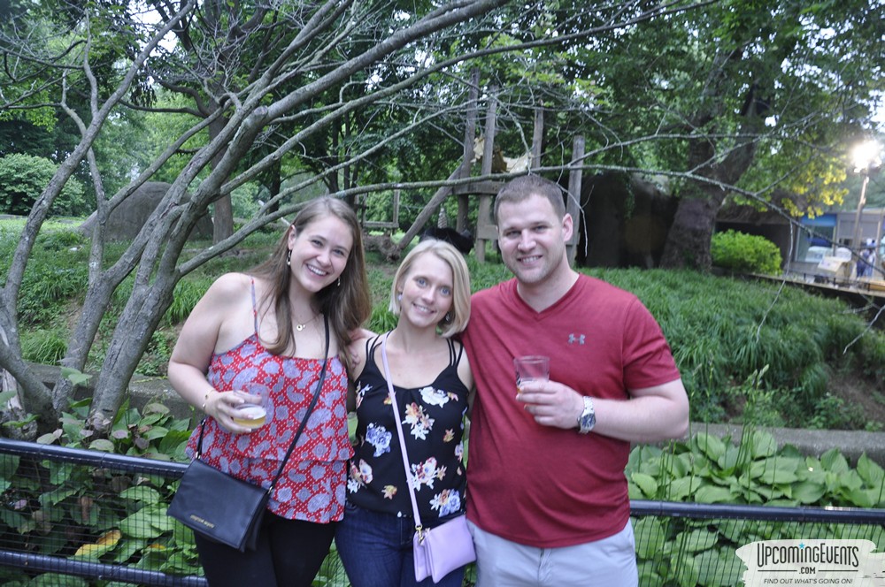 Summer Ale Festival at The Phladelphia Zoo