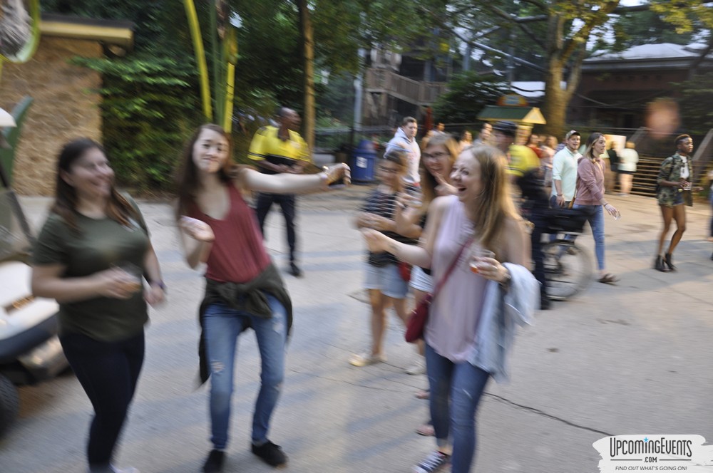 Summer Ale Festival at The Phladelphia Zoo