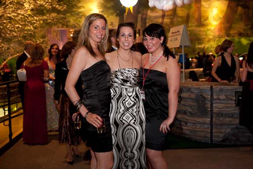 The 2010 Red Ball (gallery #1)
