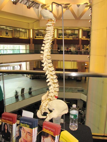 2010 Young Professionals Expo (Gallery 3)