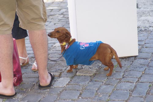 Manayunk Mayfest 2010