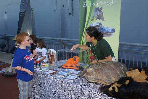 Battleship Blast 2010