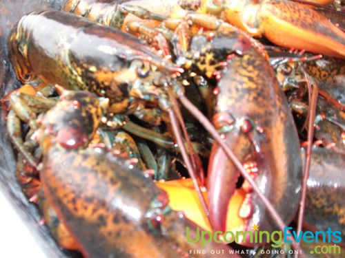 Lobster Bake