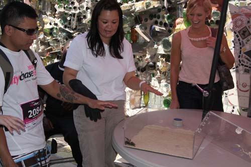 City Chase Philadelphia 2010 - The Race