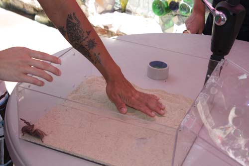 City Chase Philadelphia 2010 - The Race