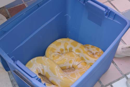 City Chase Philadelphia 2010 - The Race