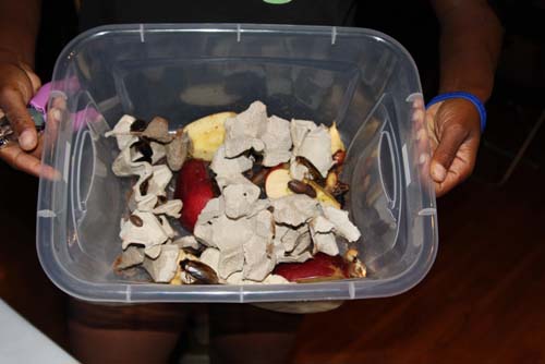 City Chase Philadelphia 2010 - The Race