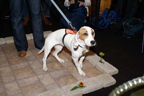 Fashion in Public (Gallery 1)