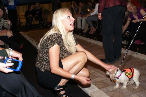 Fashion in Public (Gallery 1)