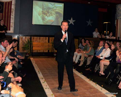 Fashion in Public (Gallery 2)