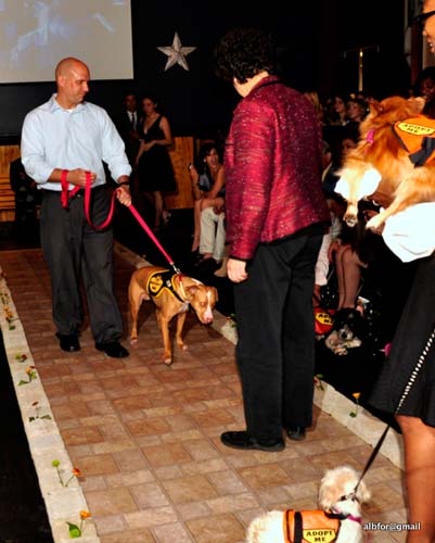 Fashion in Public (Gallery 2)