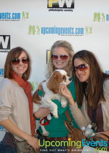 Fall Festival (Gallery 3)