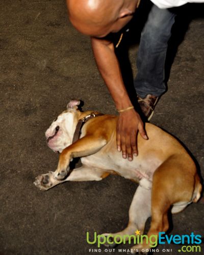 Philly Fashion Week 2010 (Saturday Gallery 2)