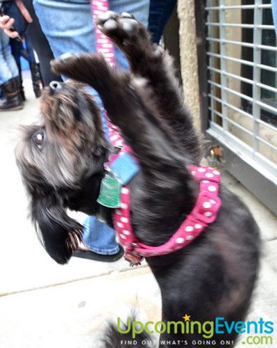 Midtown Festival (Gallery 2)