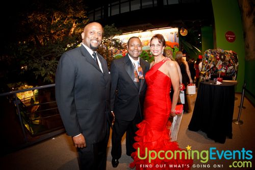 REd Ball 2012 Gallery 2