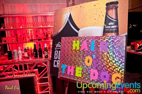 Hair O' The Dog (Gallery B)