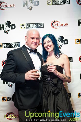 Hair O' The Dog (Gallery B)