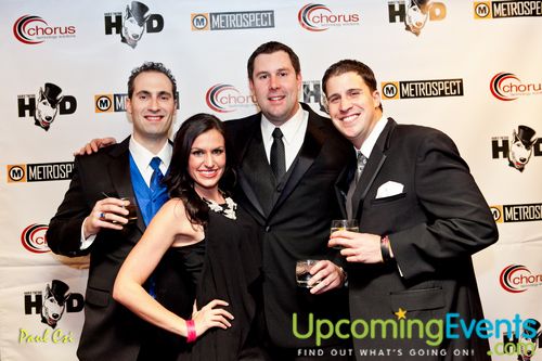 Hair O' The Dog (Gallery B)