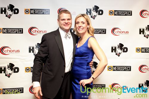 Hair O' The Dog (Gallery B)