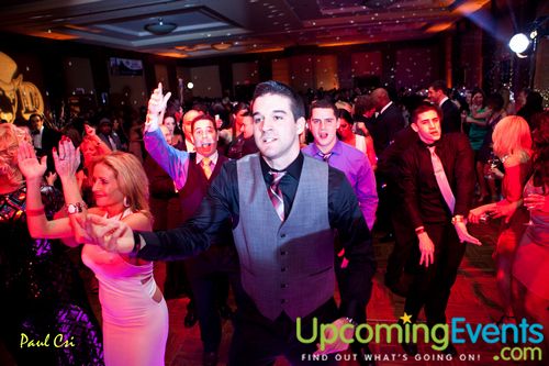 Hair O' The Dog (Gallery A)