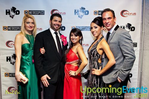 Hair O' The Dog (Gallery A)